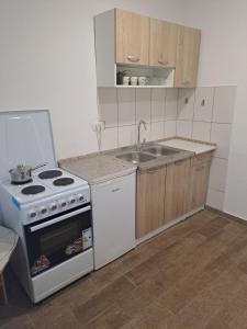 a small kitchen with a stove and a sink at Villa Panorama Blagaj in Blagaj