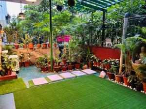 a garden with plants and a green lawn at Dr Balis Bliss Homestay in New Delhi