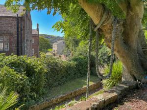 a tree with a chain hanging from it at Abbey Cottage in St Bees