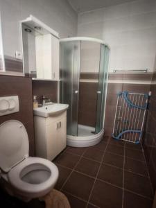 a bathroom with a shower and a toilet and a sink at Villa Yulia in Luštica +56 photos