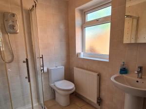 a bathroom with a toilet and a sink and a window at The Nest in Aylsham