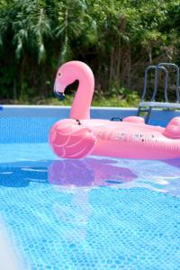 a pink inflatable flamingo in a swimming pool at Hale Moana in Itoshima