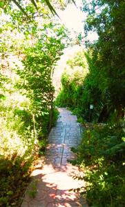 a brick path with trees on both sides at Irini Studios in Plomari