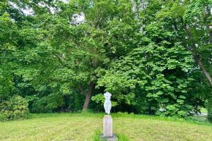 a statue in a field in front of a tree at Herrenhaus Libnow in Murchin