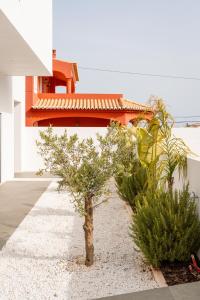 a small tree in front of a building with plants at Villa Bazaruto in Lagos
