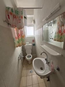 a small bathroom with a toilet and a sink at Pieria Paralia Apartment in Paralia Katerinis +14 photos