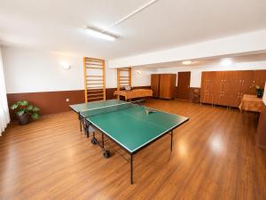 an empty room with a ping pong table in it at Pensiunea Sub Piatră in Sălciua de Sus