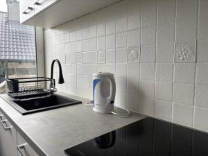 a kitchen with a counter with a sink and aounter sidx sidx sidx at Horiza in Gdańsk