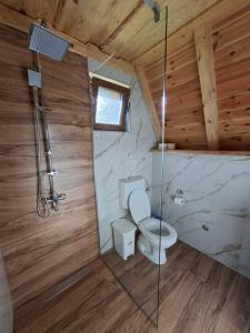 a bathroom with a toilet and a shower in a room at Vikendica Smolovic in Žabljak