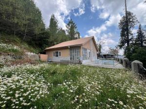 a house with a field of flowers in front of it at Haven Daisy Meadows - 2BR Cottage with Lawn in Changla Gali in Chhāngla Gali