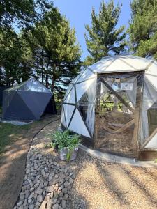 a greenhouse and a tent in a field at Dome Haven Glamping in South Haven +16 photos