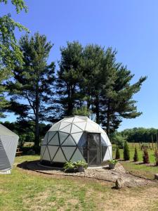 a tent in a field with trees in the background at Dome Haven Glamping in South Haven