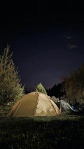 a tent in the grass under a night sky at Above the Clouds Camp in Kintamani
