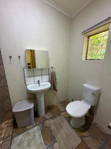 a bathroom with a toilet and a sink at Root&Roam Nature in Malelane +2 photos