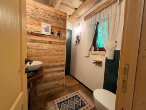 a bathroom with wooden walls and a toilet and a sink at Pompei Village in Cojocani +42 photos