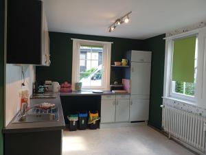 a kitchen with green walls and white cabinets and a sink at Zwischen Acker und Herz Hartmannshof in Algermissen