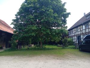 a tree next to a building with a car parked next to it at Zwischen Acker und Herz Hartmannshof in Algermissen +4 photos
