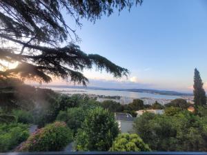 a view of a lake from a tree at à la cime du mont Saint Clair in Sète
