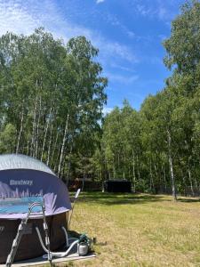 a tent in a field with trees in the background at Cisza lasu in Kadłubówka