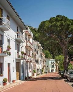 a street with buildings and a tree on the side at S'erribera de S'abiolu in Baunei