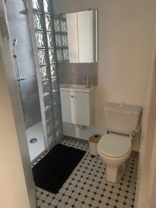 a bathroom with a toilet and a sink and a shower at Maison de Tisserand 10 pers in Gesté +8 photos