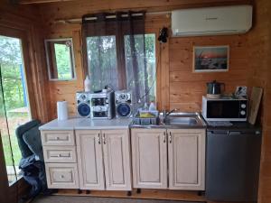 a kitchen with a stove and a sink in a cabin at Koobamäe saunamaja in Kulli