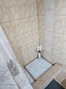 a bathroom with a shower with a shower curtain at Cousy Center House in Šiauliai +34 photos