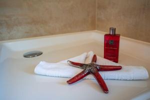 a starfish sitting on a towel on a bath tub at Ferienhaus Strandmuschel mit Sauna in Loddin