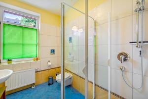 a bathroom with a shower and a toilet and a sink at Europa Park, Zimmer mit eigenem Bad in Herbolzheim +22 photos