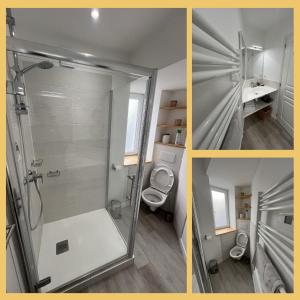 three pictures of a bathroom with a shower and a toilet at Studio tout équipé in Vaugneray
