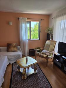 a living room with a couch and a table at Babić Rituals apartments in Makarska