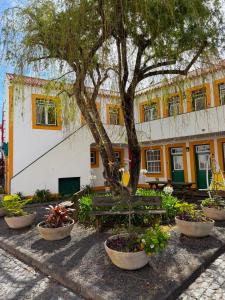 a park with a bench and a tree and a building at Hospedaria Verdemar in Horta