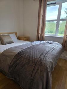 a bed in a bedroom with a large window at Alex in Castlerea
