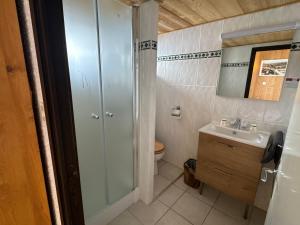 a bathroom with a shower and a sink and a toilet at Logis Hôtel Le Cairn in Les Deux Alpes