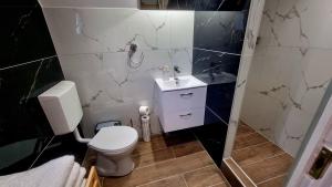 a bathroom with a white toilet and a sink at Ariel 2 Vendégház in Pilismarót +24 photos