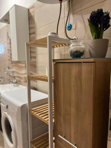 a laundry room with a washing machine and a washer at Apartmani Žak in Pridraga