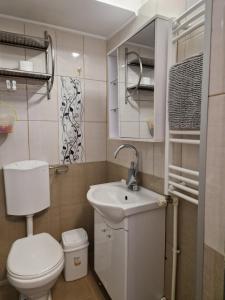 a small bathroom with a toilet and a sink at Iris ultracentral apartment in Mangalia +13 photos