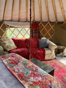 a living room with a couch and a bed in a yurt at Fabulous Glamping Yurt in Bantry