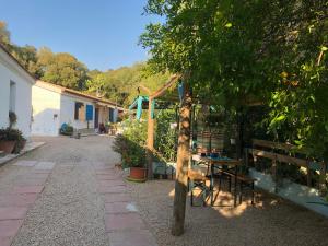 a small courtyard with a table and a tree at Antica Verdureria in Terme di Castel Doria