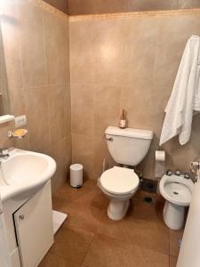 a bathroom with a toilet and a sink at Osiris Apart in Comodoro Rivadavia
