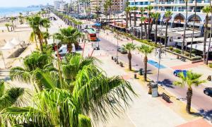 a city with palm trees and a street with cars at Maison Zenon Larnaca City Center apartments in Larnaca