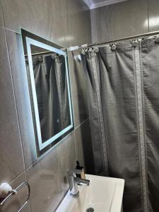 a bathroom with a sink and a mirror and a shower at Rojavitiva in General Belgrano +9 photos