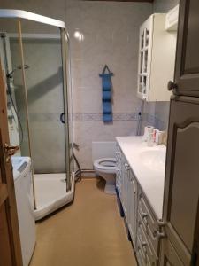 a bathroom with a shower and a toilet at Room 2 in Kirkenes