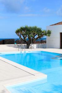a large blue swimming pool with a tree in the background at Baia da Barca in Madalena