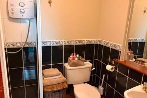 a small bathroom with a toilet and a sink at 2 Bedroom Apartment - Free Parking & Garden in Kilmessan +34 photos