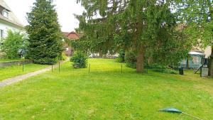 a tree in a yard with a kite in the grass at Small, cozy tiny apartment, complete in Lichtenau +5 photos