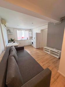 a living room with a couch and a kitchen at The Urban Nest apartament in Giurgiu