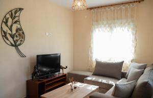 a living room with a couch and a tv at Villa Trigona in Kalabaka