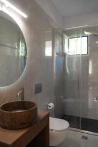 a bathroom with a sink and a toilet and a mirror at Villa Trigona in Kalabaka +29 photos