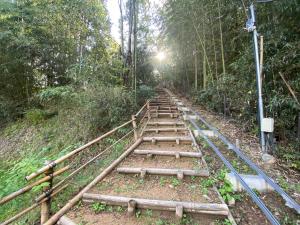 a set of train tracks in the middle of a forest at うさぎのキャンプ広場 in Oguni